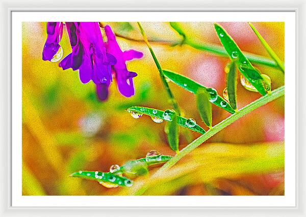 Water Drops on Flowers and Their Tiny Leaves - Framed Print