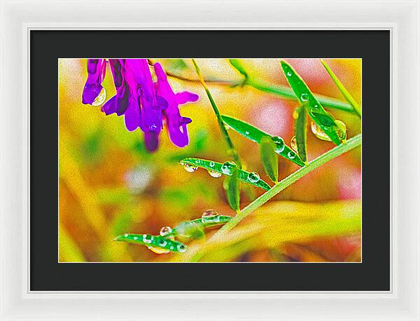 Water Drops on Flowers and Their Tiny Leaves - Framed Print