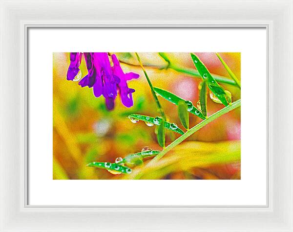 Water Drops on Flowers and Their Tiny Leaves - Framed Print