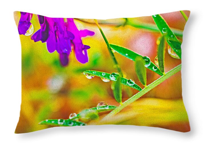 Water Drops on Flowers and Their Tiny Leaves - Throw Pillow