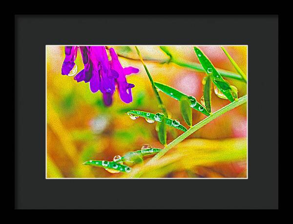 Water Drops on Flowers and Their Tiny Leaves - Framed Print