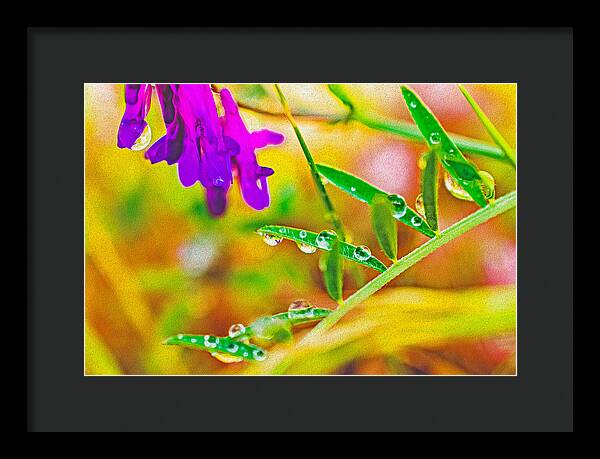 Water Drops on Flowers and Their Tiny Leaves - Framed Print