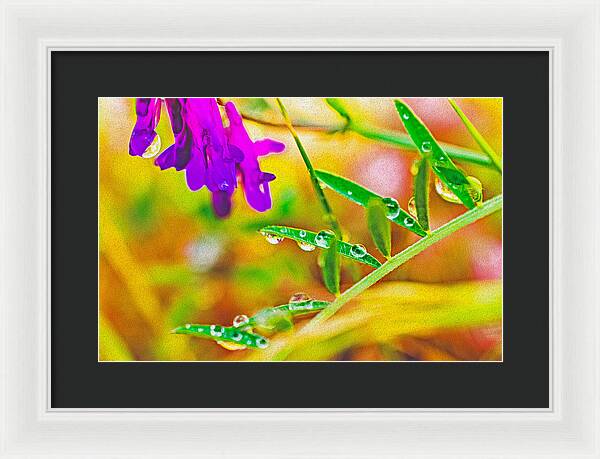 Water Drops on Flowers and Their Tiny Leaves - Framed Print