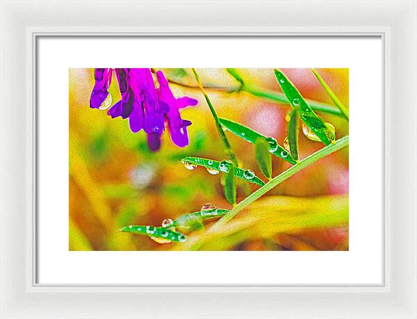 Water Drops on Flowers and Their Tiny Leaves - Framed Print