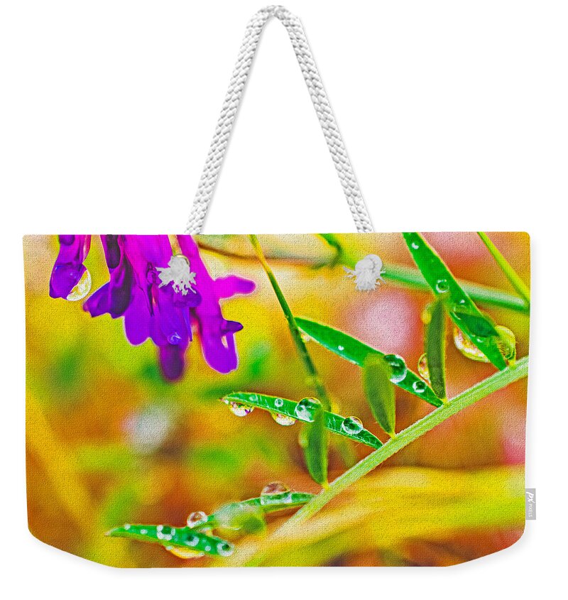 Water Drops on Flowers and Their Tiny Leaves - Weekender Tote Bag