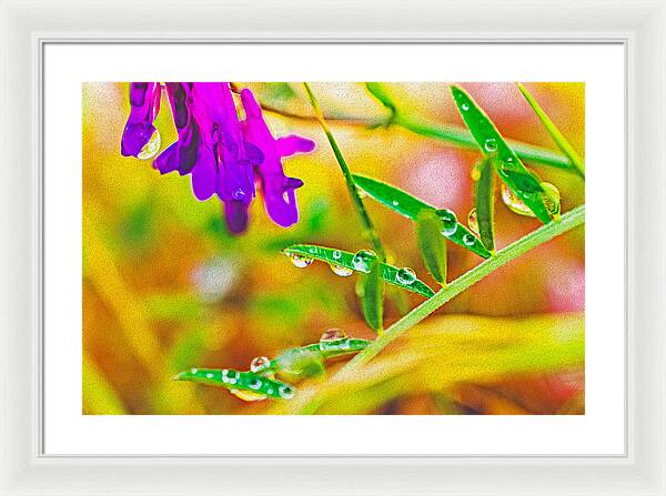 Water Drops on Flowers and Their Tiny Leaves - Framed Print