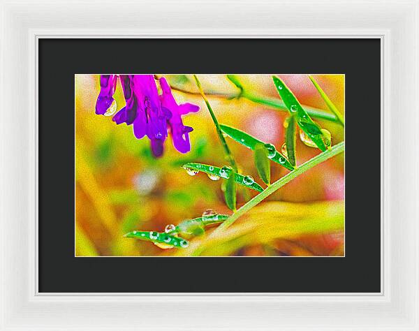 Water Drops on Flowers and Their Tiny Leaves - Framed Print