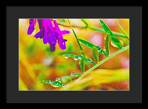 Water Drops on Flowers and Their Tiny Leaves - Framed Print