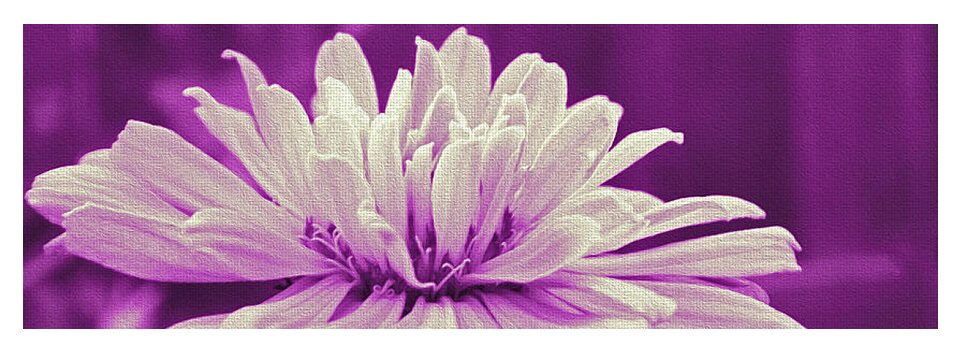 White Flower on a Purple Artistic Background - Yoga Mat