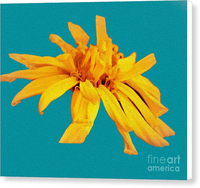 Yellow Artistic Flower and Blue Background - Canvas Print