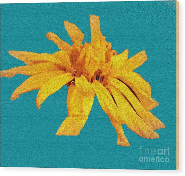 Yellow Artistic Flower and Blue Background - Wood Print