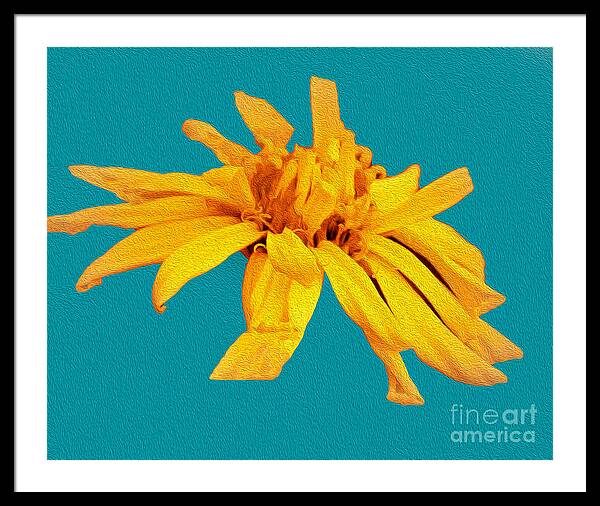 Yellow Artistic Flower and Blue Background - Framed Print