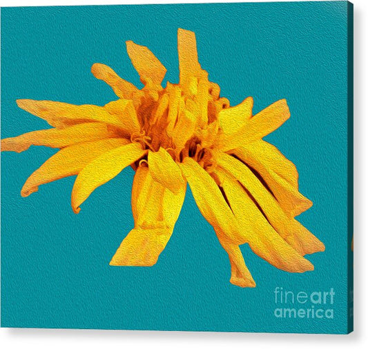 Yellow Artistic Flower and Blue Background - Acrylic Print